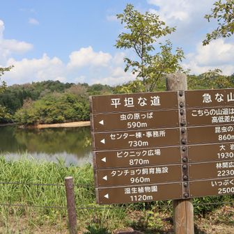 迷わず平坦へ 笑っ