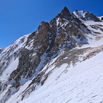 イカツイですね〜

天狗菱というらしいです。