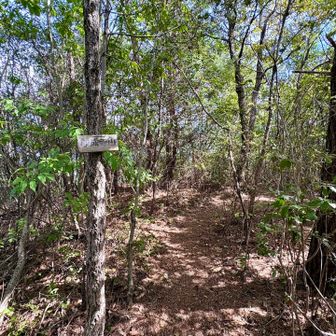 願成寺山の山頂標識。尾根通路上にあるが山頂という雰囲気ではない。
