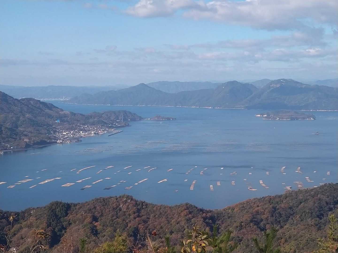牡蠣筏が