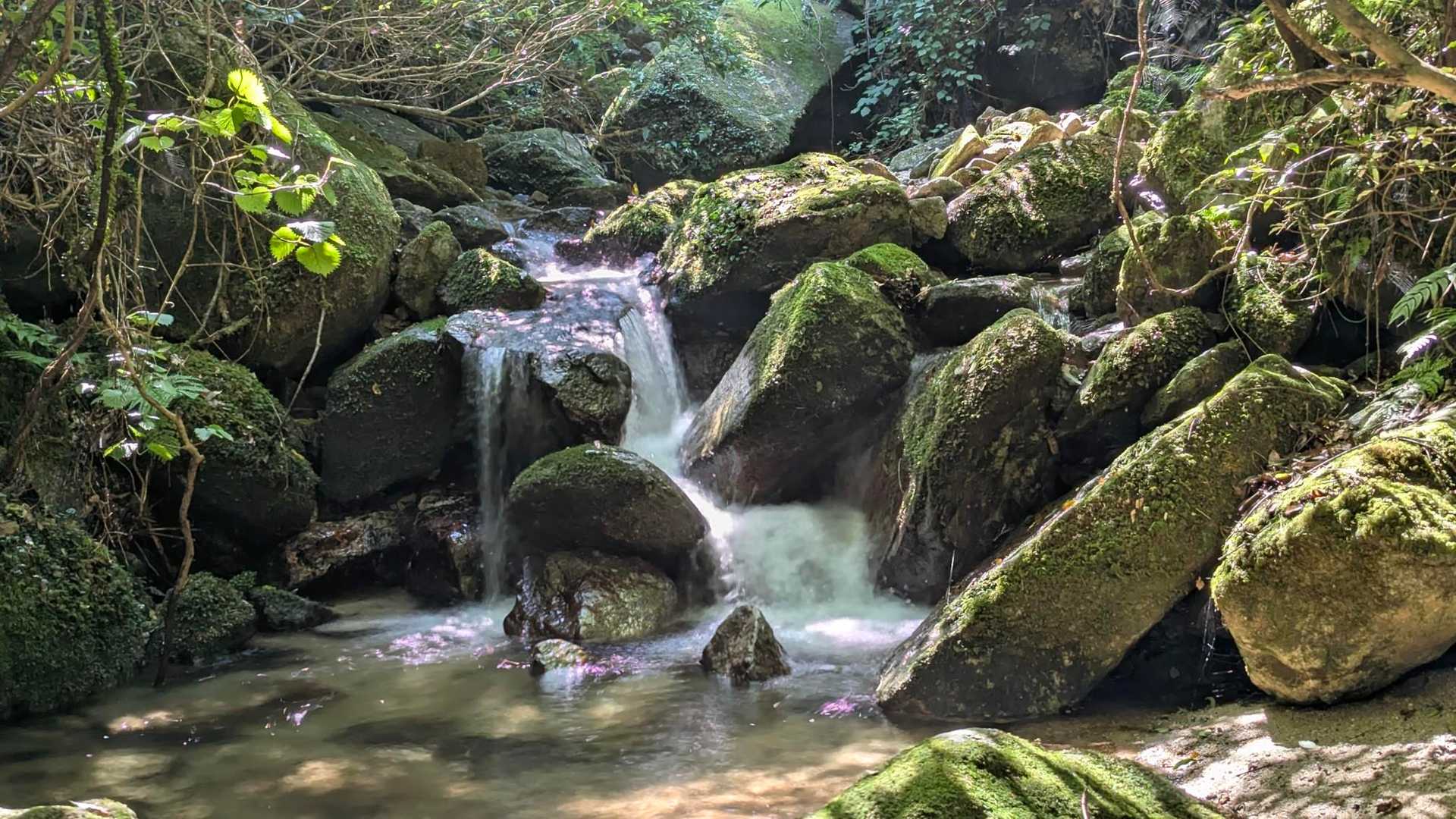 金山-アゴ坂峠 往復コースの写真