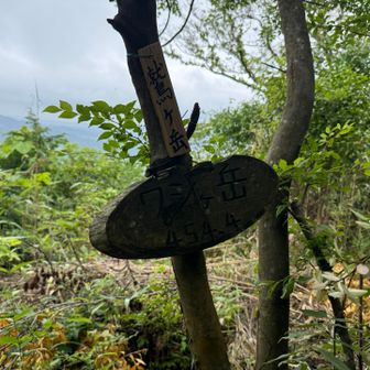 鷲ヶ岳