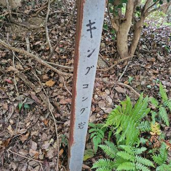 キングコングてw