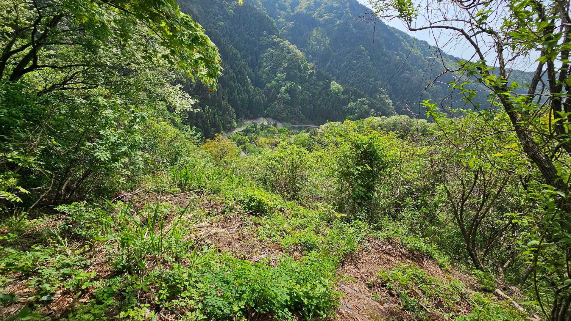じょんころ広場が見えてきました
無事下山できありがとうございました
