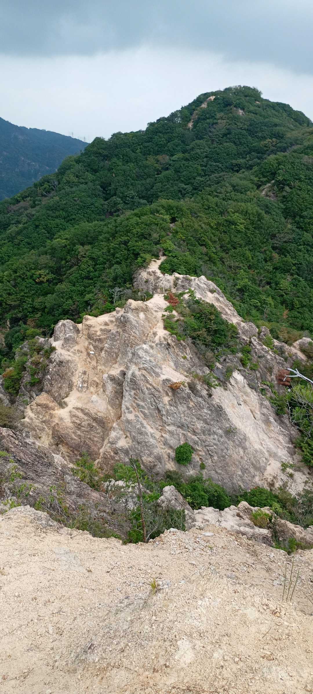 須磨浦公園駅前バス停-旗振山-高倉山-高倉台登山口-横尾山 縦走コースの写真