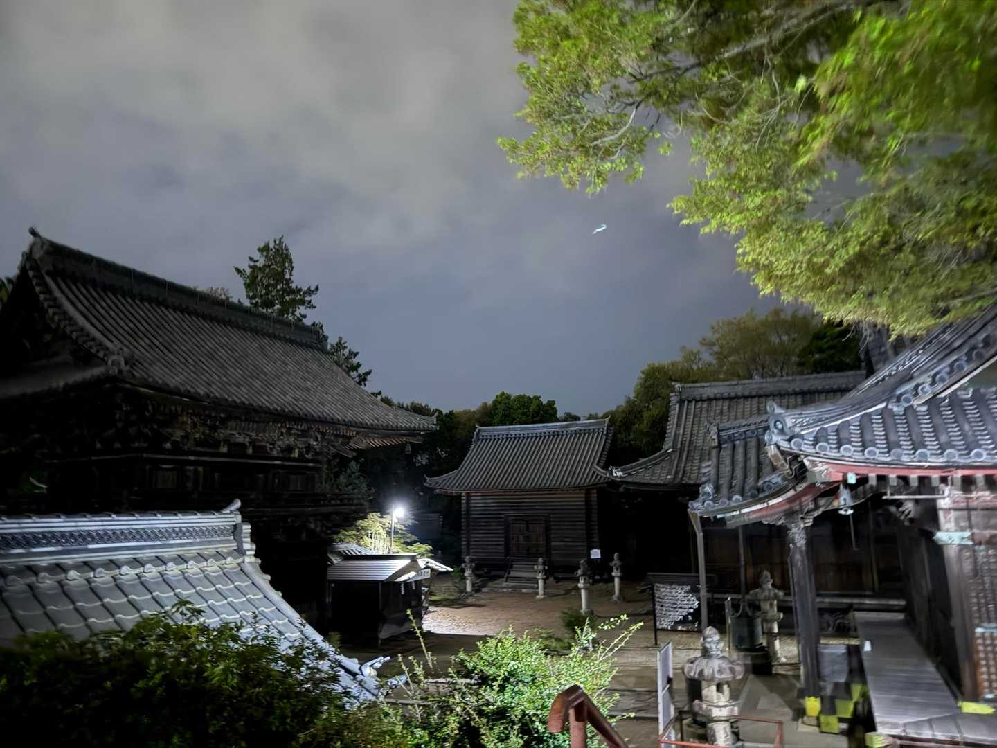 立派でした