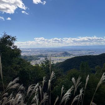 空がすっかり秋🍂
ススキも秋🌾
登山道にはどんぐりやいが栗がたくさん落ちていた。動物たちはごはんがいっぱいだね。
