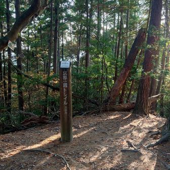 向山到着　本日はピークらしい所はここぐらいです　