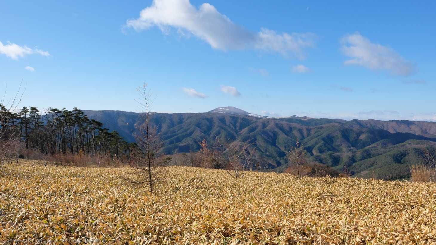 ちょっと開けた西側へ行くと、室根山。