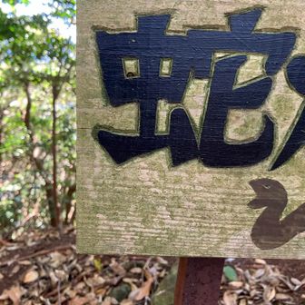 蛇の道は蛇🐍