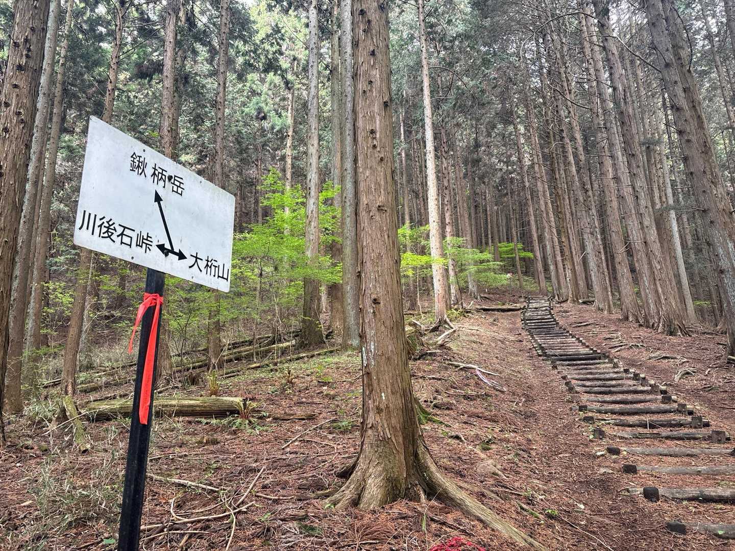 良く整備されてて気持ち良きです🙇