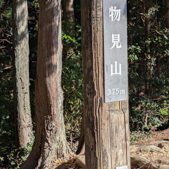 物見山