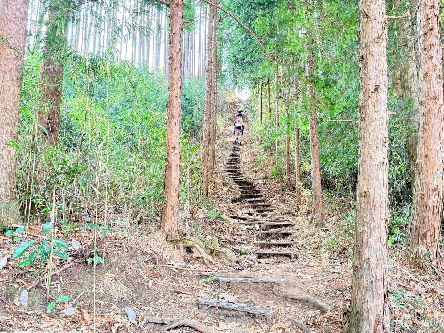 日曜日も三毳山で、お腹いっぱい階段を堪能しましたが、今日も階段がいっぱい꒰ঌ( ´ ཫ ` )໒꒱