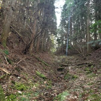 上の方は道も荒れてます