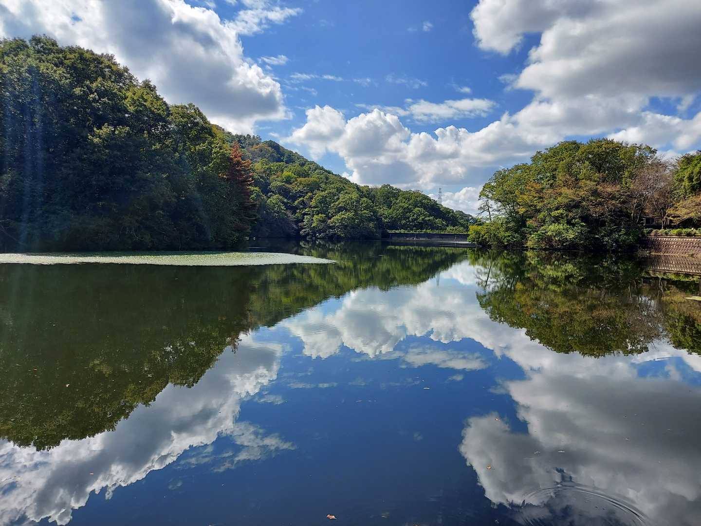 白旗池