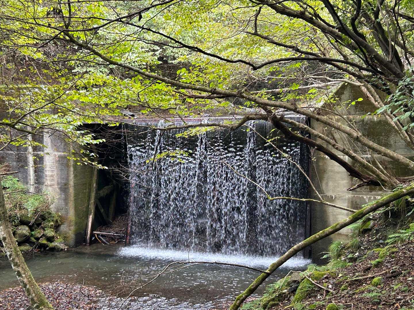 この前にある格子状の鉄の橋を渡ります