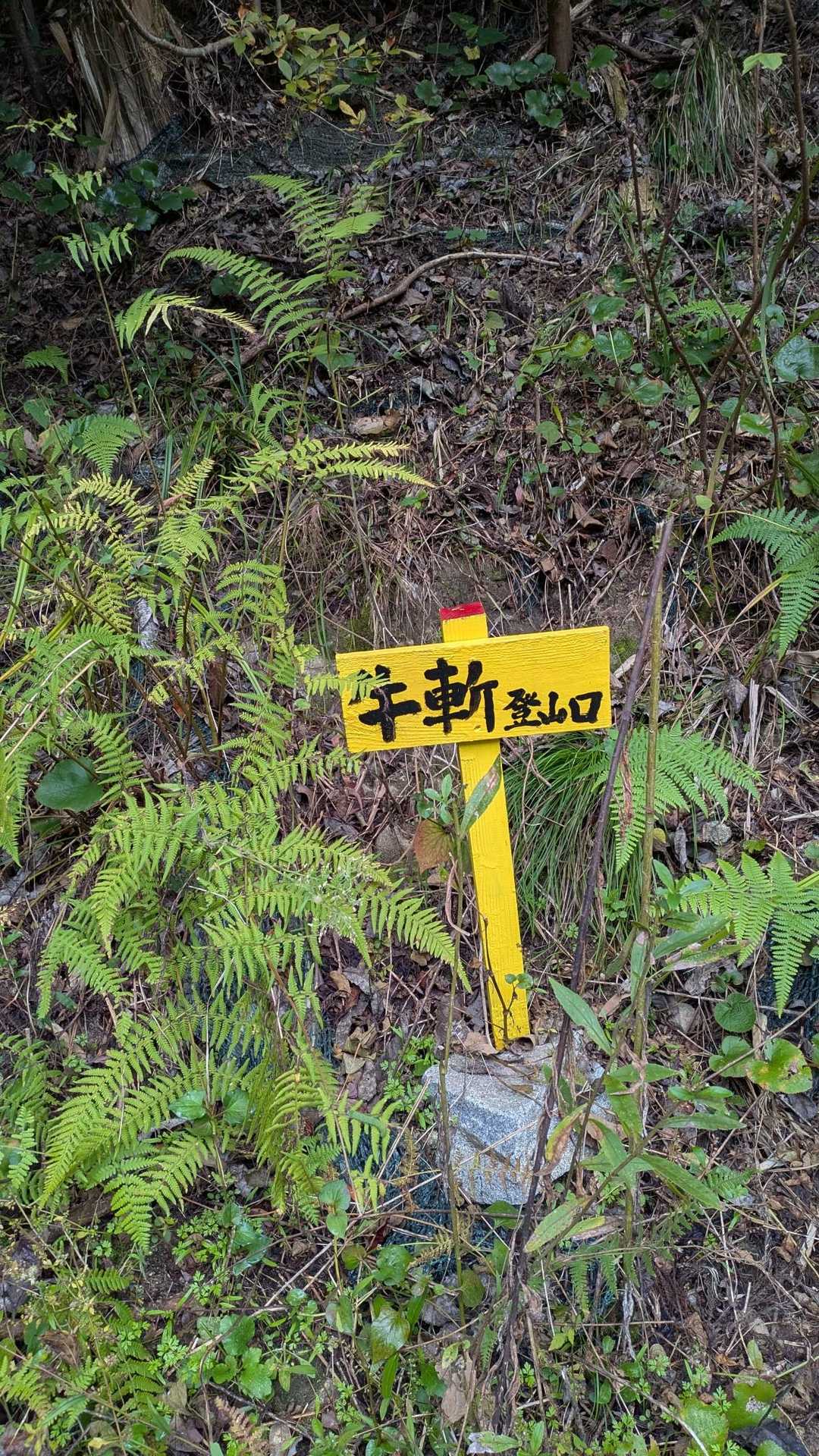 ここまででも
けっこう疲れる
気温、天気はサイコーです。