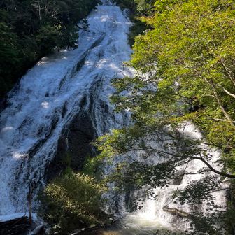 前回、雨で
ここまでは来てない。

湯滝の迫力(;'∀')おぉ

マイナスイオンが
バシバシ飛んでくる