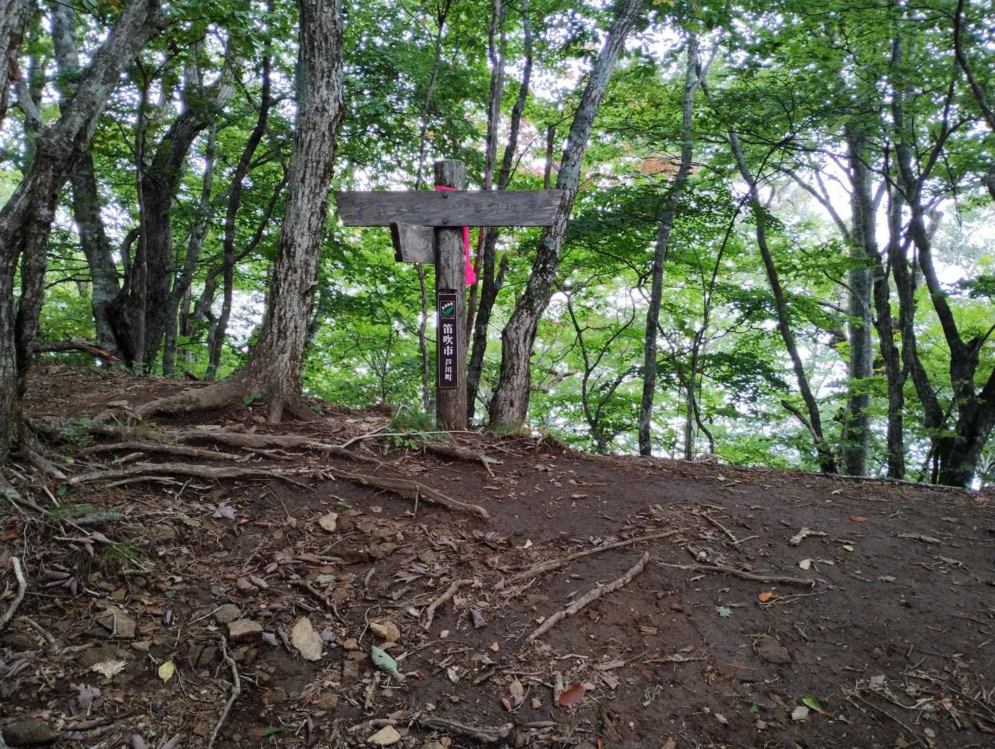 釈迦ヶ岳と黒岳を繋ぐ稜線に出ました。
