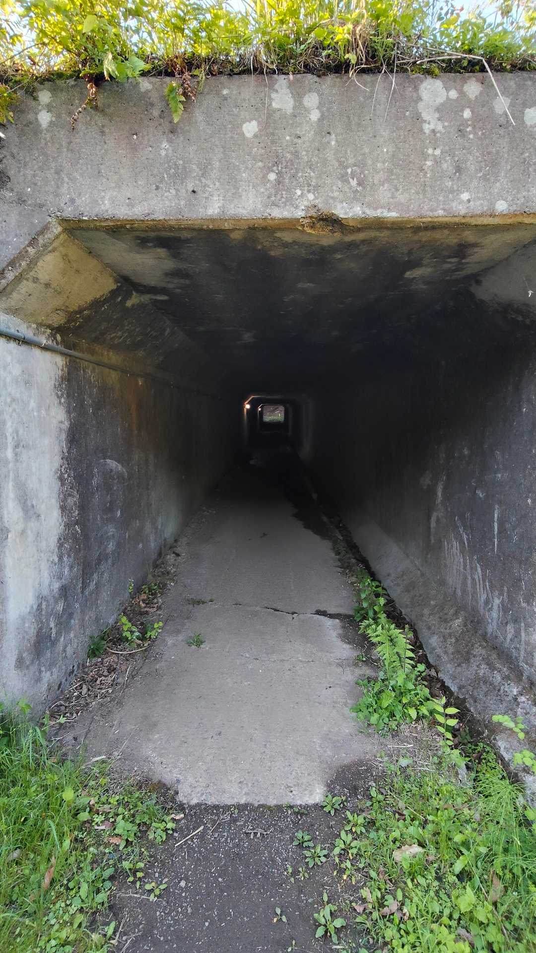 線路下のトンネルからSTART