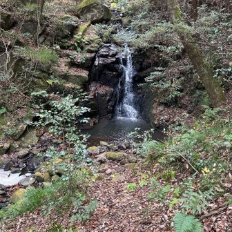 道路に出て渡ると滝発見