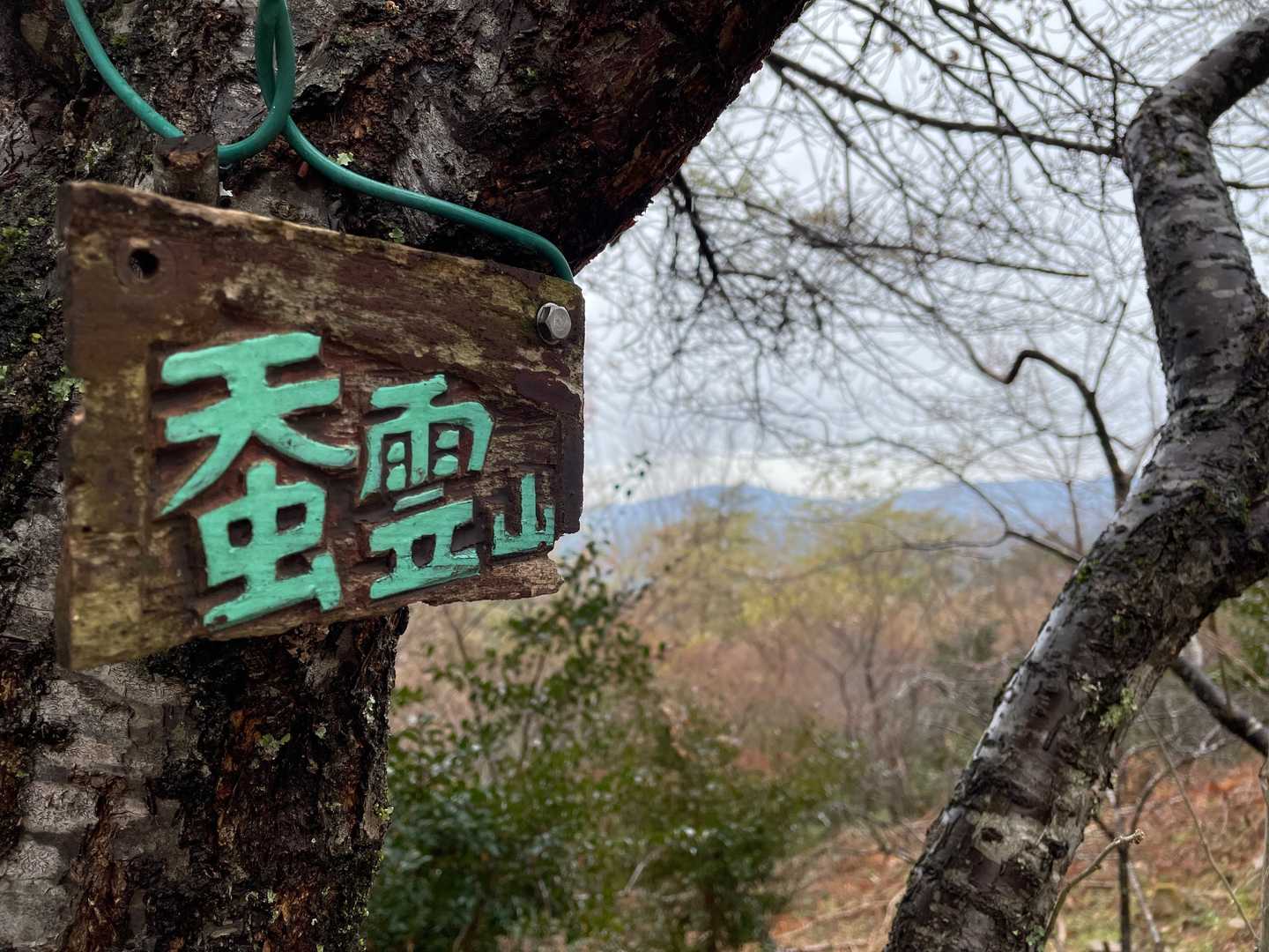 遠近法🤣の看板がかわいい💕