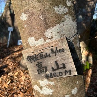 ロープが続く急登を最後の力を出して登りました‼️