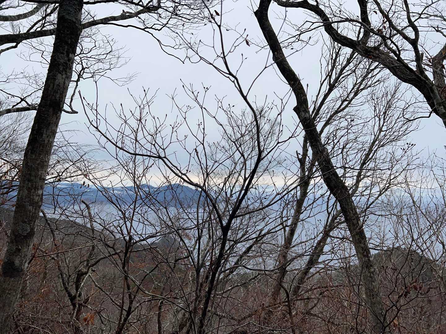 向こう側、魹山(とどやま)
登ってみたい😁
