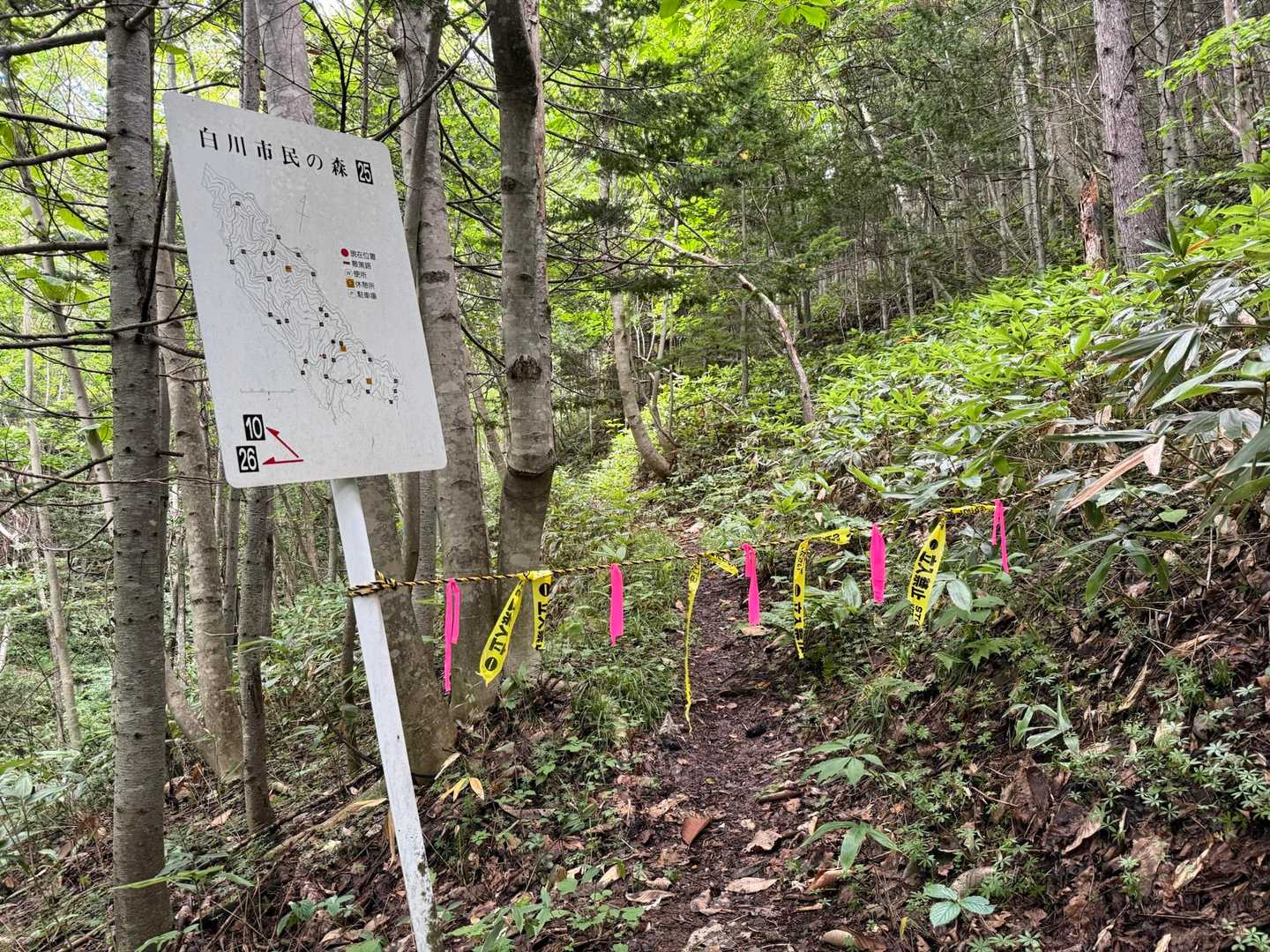 階段ではなく、ゆるゆるコースの道を選んで進むと通行止め...数日前に🐻足跡あったから？😱