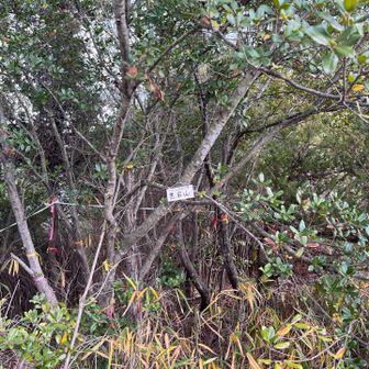 黒岩山　山頂表示