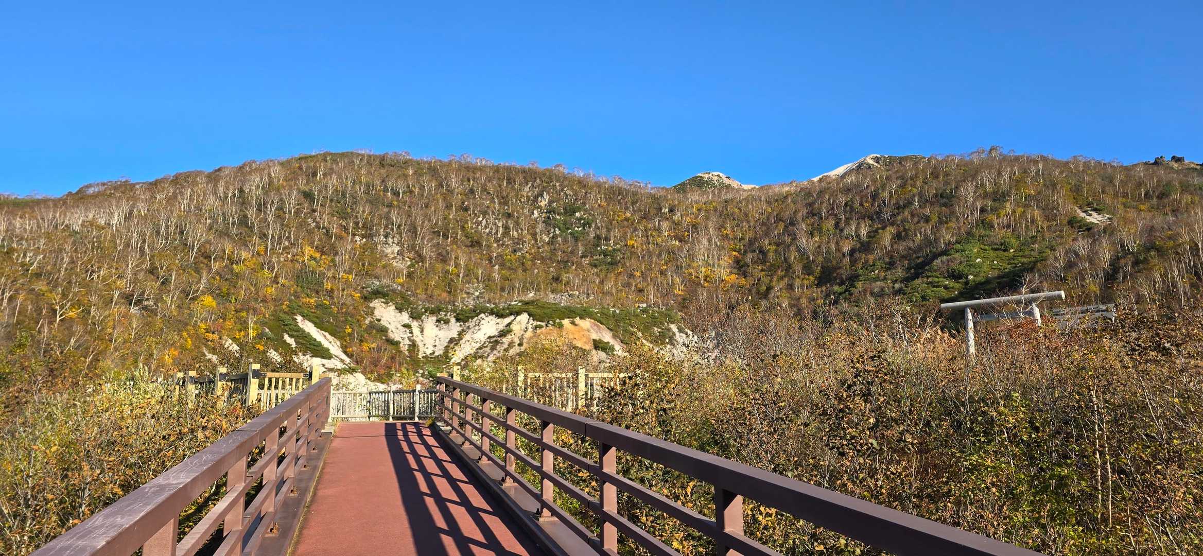 ニセコアンヌプリ登山口-ニセコアンヌプリ 往復コースの写真