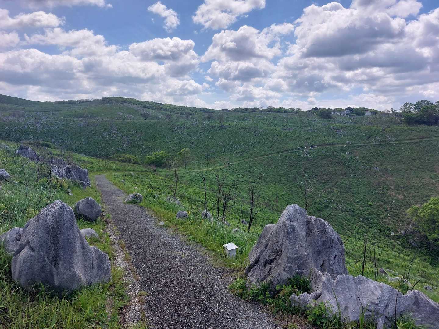 ビミョーな登りで展望台まで戻ります💦