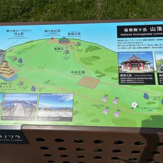 今回は最短コース🚶‍♀️