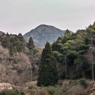天狗山でした。