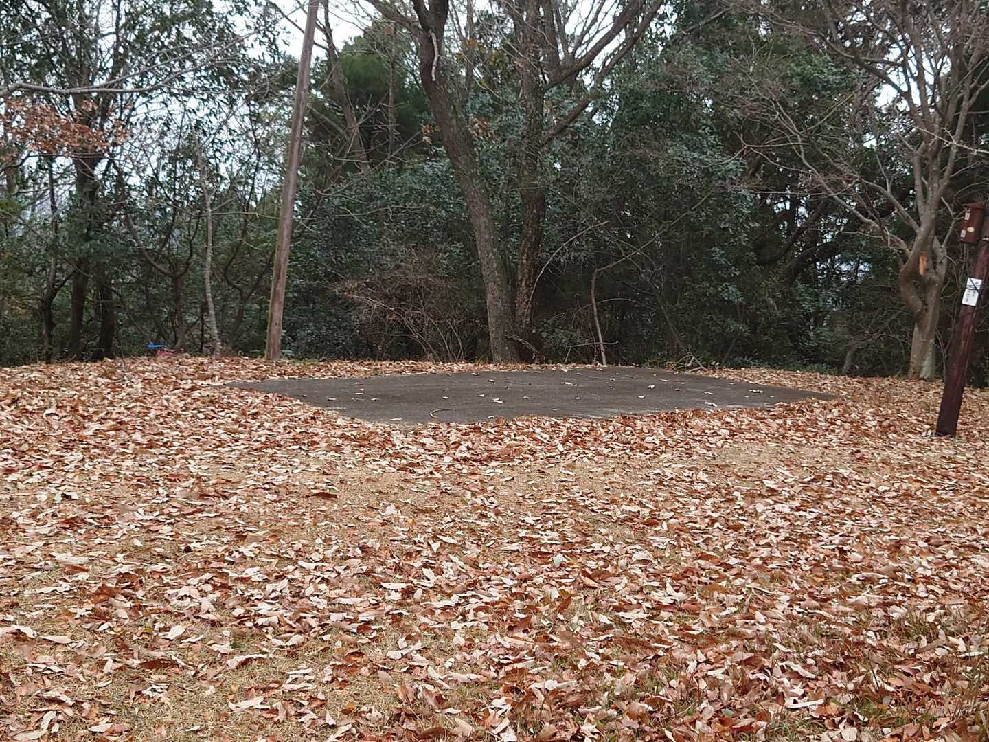 駐車場です
