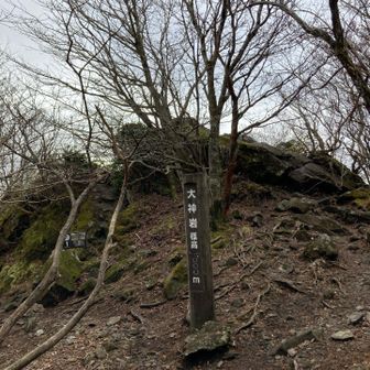 気温が高く汗でびしょ濡れです💦