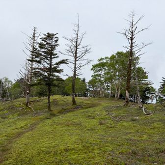 独特の雰囲気。山伏から先のルートはずっと県境です。