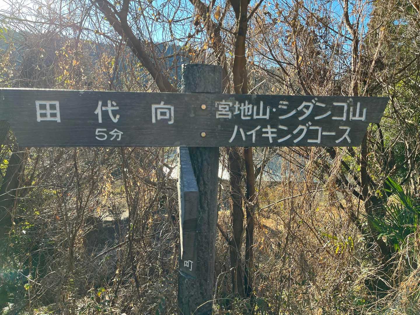 アスファルト長い。