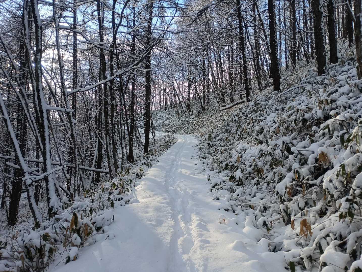 こっちから山頂は緩い