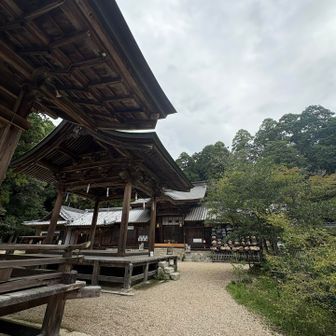 最後までありがとうございました

猿投神社で参拝🙏
立派な境内
見たことない大きい絵馬にびっくり

この先も雨の日が続くよね
晴れないかなぁ…
頼んだよ
城ヶ峰のてるてる坊主くん　笑

またね