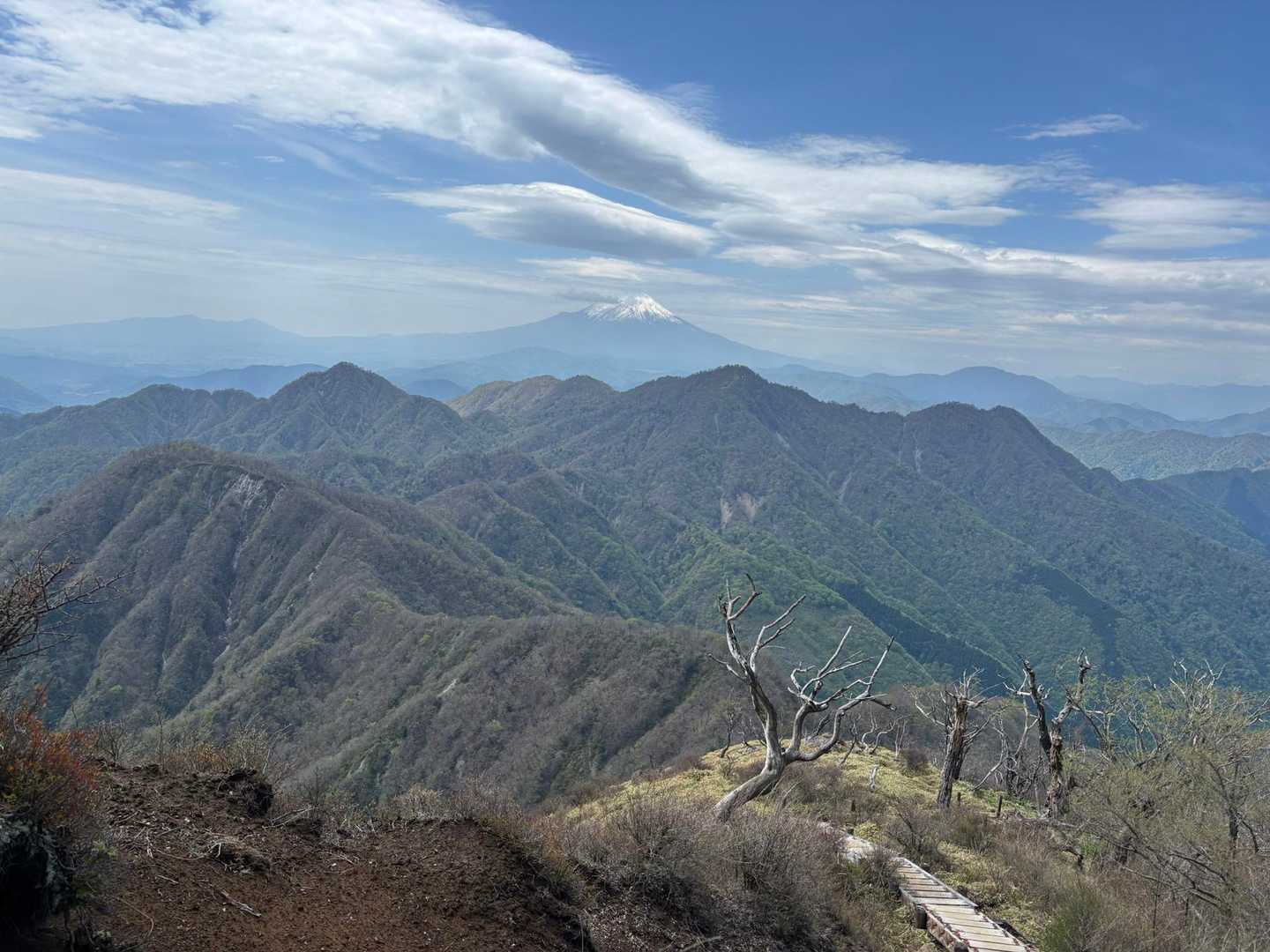西丹沢バス停-檜洞丸-蛭ヶ岳 往復コースの写真