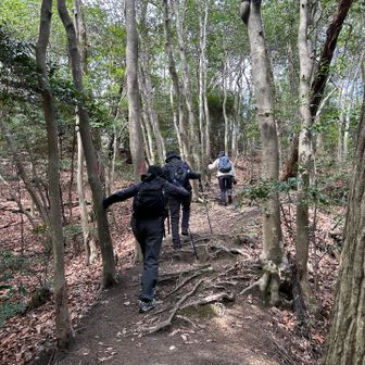 冷たい風が吹き抜け　日が当たっても寒く
静かな登路に鳥の会話だけが響いてますわ