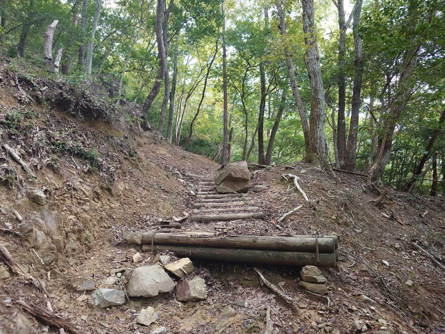 登山道に大きな岩、落ちてきたのかな
