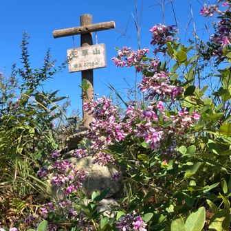山頂トウチャコ⛰️
萩の花が一杯咲いてましたー♪
季節を感じます🍂