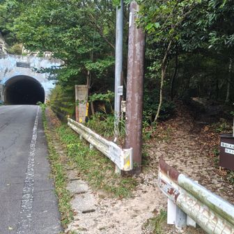 ますは…武平峠を目指します🕺🏻

🅿️に吹いてた心地よい風は…ここから武平峠までお預けでした💦💦
蒸し暑ーい😵‍💫
