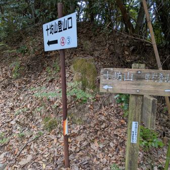 中村集落からの登山口