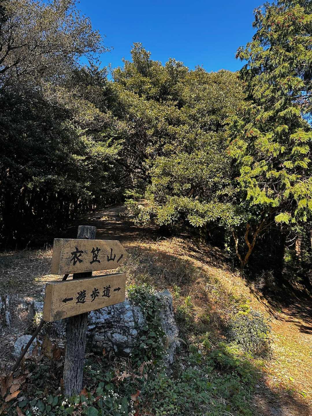 この分岐は右に行って直登したくなるけど
左が正解