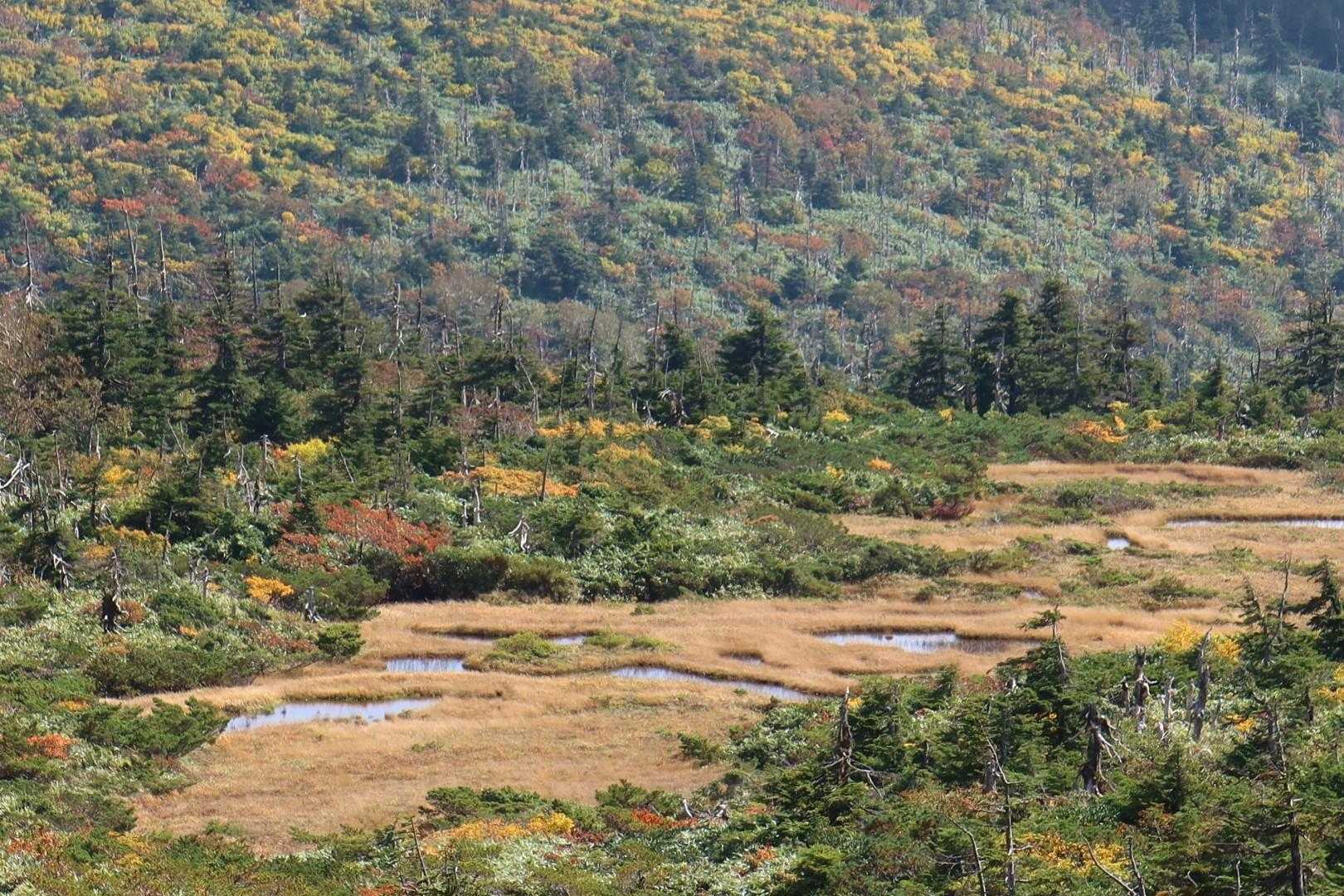 刈田峠-前山-杉ヶ峰-屏風岳 往復コースの写真