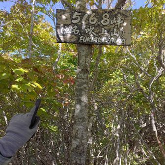 「吹上山」山頂。灌木が密集していて休憩には向かないので「吹上石」に戻ってランチタイム
