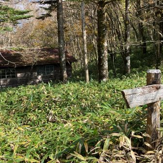 奥秩父主脈縦走路を繋げるために、笠取山方向に進みます
雁峠避難小屋がありましたが、かなり古びた建物
ここには避難したくありません